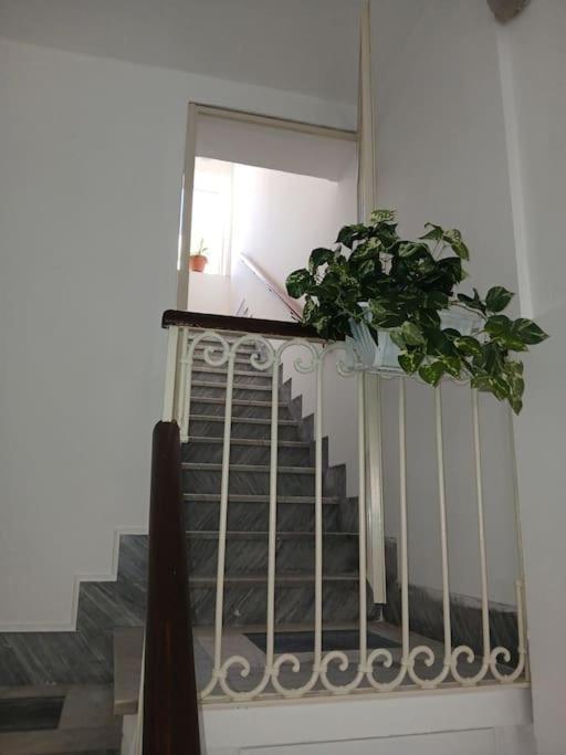 Lusiana Apartment Сиракузы Экстерьер фото